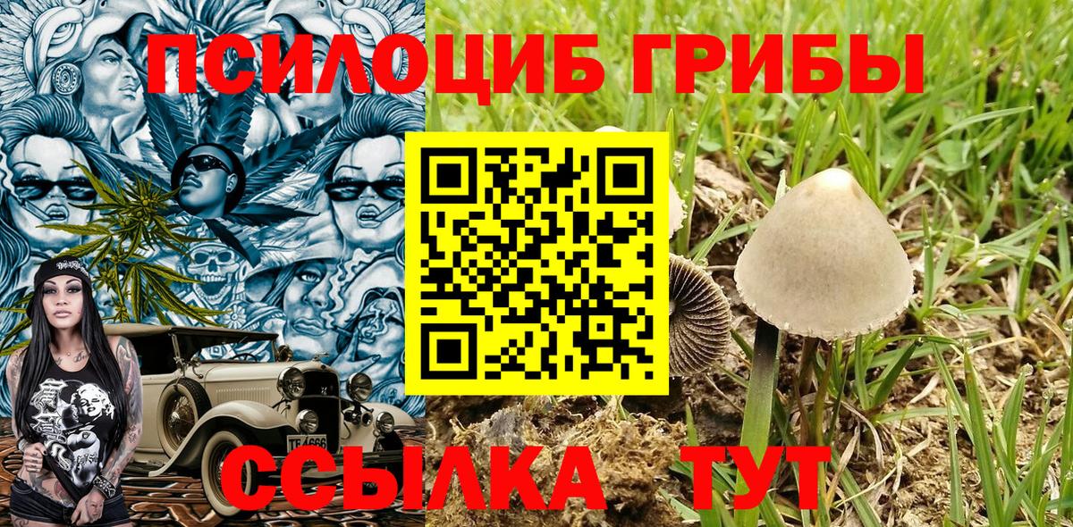 Псилоцибиновые грибы Magic Shrooms  Галлюциногенные грибы MAGIC MUSHROOMS  Кимры  Вход с VPN 